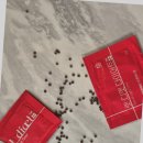 (주)엣데이터 | 의사가 추천한 렛디엣, 6개월 체험 결과 및 과학적 분석 (내돈내산 솔직리뷰)