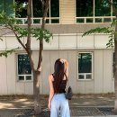 여름 구매 &amp;위시리스트 (Sie, 르플레인, 샵시예, 킨더살몬, 타낫, 던스트, 에세이즈)