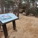 망 조 대 이미지