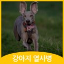 철원동물병원 이미지