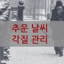 원더에셀 이미지
