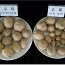 기장군농업기술센타 이미지