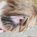 두리동물클리닉 이미지