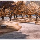 이천 무형문화재 전수교육관 이미지