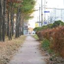 조치원_신흥주공207동 이미지