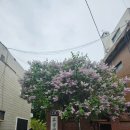 흥생한의원 네이버블로그