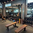 식스팩 휘트니스 이미지