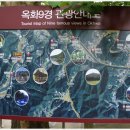 옥화상회 티스토리