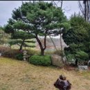 판교골드공인중개사사무소 이미지