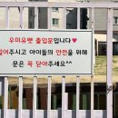 시유펫
