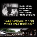 스테이 인가 Daum카페