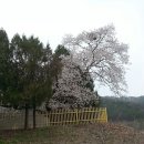 옥성초등학교 이미지