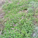 용방우체국 이미지