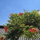 수림사