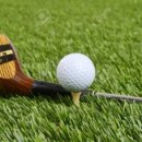 정자스크린골프 이미지