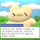 두개의 조각 이미지