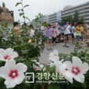 무궁화어린이공원 수 이미지