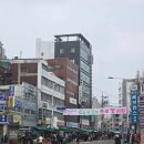 동대문 종로5가 혼자놀기 ㅣ 신진순대국 종로꽃시장 일요일 방문 후기
