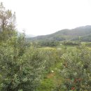 은하수산장 이미지