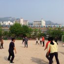 신상계초교 이미지