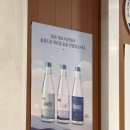 울릉도에서 만난 특별한 술, ‘울릉술’! (고로쇠 &amp; 마가목 담긴 지역 소주🍶)