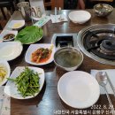 보들이쭈꾸미 이미지