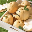 영스토어 이미지