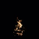 별드림캠핑장 이미지