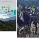 지리산큰나무 이미지