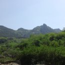 황매약수터 Daum카페