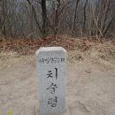 망부석