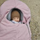 오동목장 | 7개월 아기와 평창 대관령양떼목장 다녀온 후기(꿀팁포함)