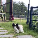 오션스테이 이미지