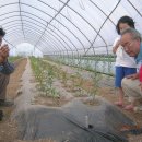 인환농장 이미지