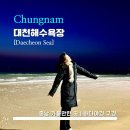 대천해수욕장그린펜션 | [Daecheon Beach] 대천해수욕장 - &lt;충남&gt; 보령 가볼 만한 곳 / 서해 밤바다 구경하기 / 바다 앞 버스킹...