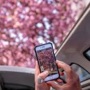 스마트폰 동영상 제작 이미지