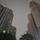 산소구이 | [6주차] 조상님 산소에서 산소 같은 너 부르고 싶다