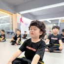 엘리트 합기도&태권도 이미지