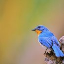 일등급영어 이미지