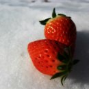 가남정보화마을 이미지