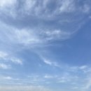 오늘의 하루🍅 이미지