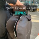 고고엑스 이사업체 추천 합리적인 용달이사비용 이용후기