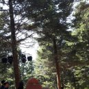 대관령 느린마을 이미지