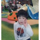 가락태권도 이미지