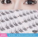 호몽샵