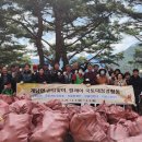 장안산 봄나물 축제 이미지