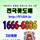 [전국꽃도매]배달 서비스. 이미지