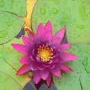 한강안마원 이미지