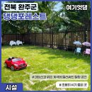 댕댕포레스트 이미지