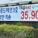 중도매인3호 이미지